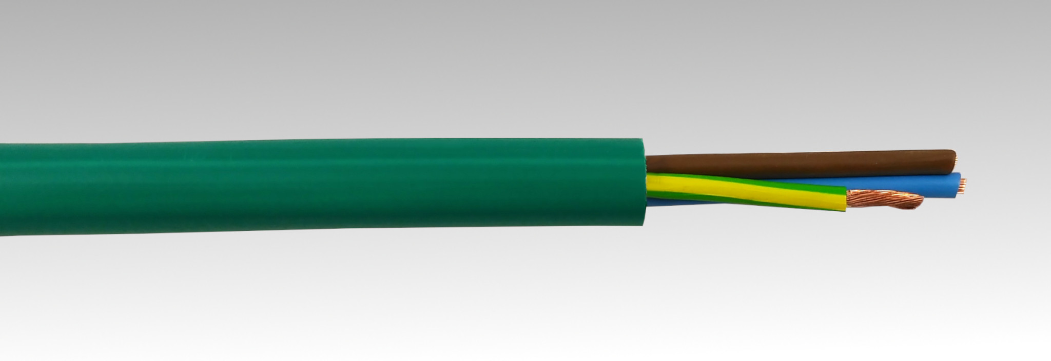 CERVI CABAL1X1,5 